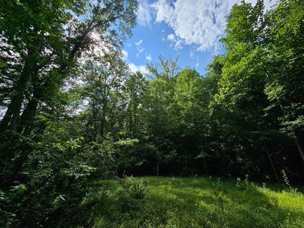 Undeveloped Land for sale in Haralson County, Georgia