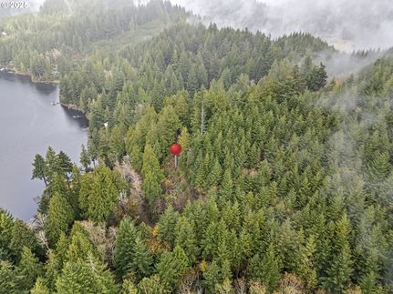 Undeveloped Land for sale in Lane County, Oregon