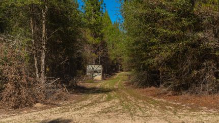 Hunting Land for sale in Webster County, Georgia
