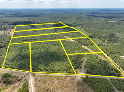 Hunting Land for sale in Tyler County, Texas