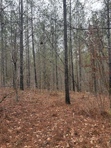 Recreational Property for sale in Talladega County, Alabama