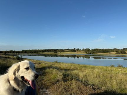 Property for sale in Coryell County, Texas