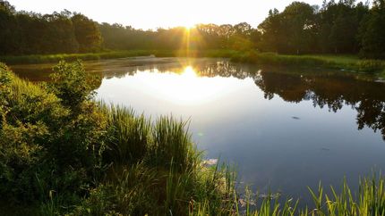 Recreational Property for sale in Henderson County, Texas