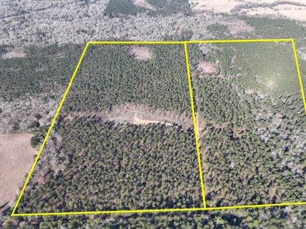 Undeveloped Land for sale in Trinity County, Texas