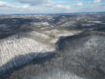Undeveloped Land for sale in Ritchie County, West Virginia