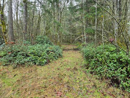 Timberland Property for sale in Lewis County, Washington