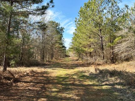 Recreational Property for sale in Burke County, Georgia