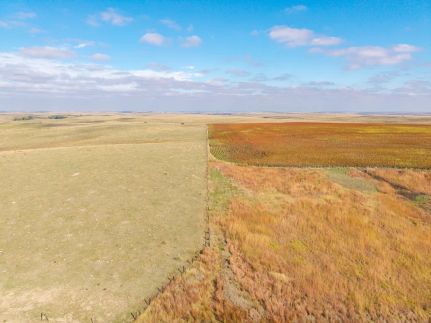 Undeveloped Land for sale in Graham County, Kansas