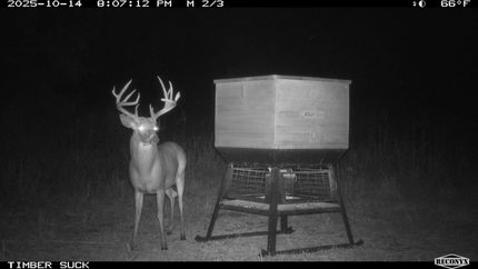 Farm Property for sale in Barber County, Kansas