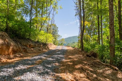 Undeveloped Land for sale in Bland County, Virginia