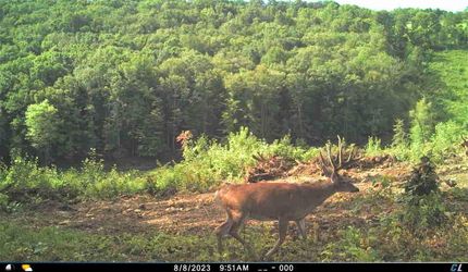 Ranch Property for sale in Scioto County, Ohio