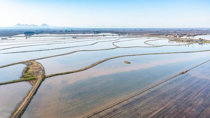 Farm Property for sale in Yuba County, California