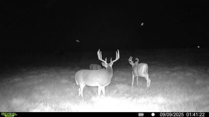 Farm Property for sale in Harper County, Kansas