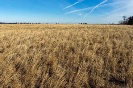 Undeveloped Land for sale in Calhoun County, Iowa