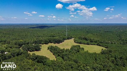 Farm Property for sale in Wilcox County, Alabama