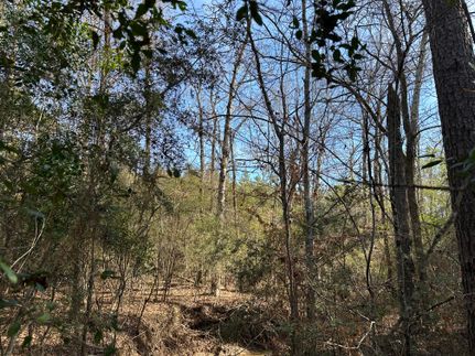 Timberland Property for sale in San Augustine County, Texas