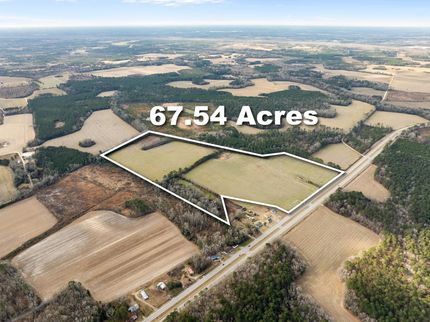 Undeveloped Land for sale in Orangeburg County, South Carolina