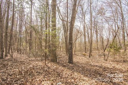 Undeveloped Land for sale in Lancaster County, South Carolina