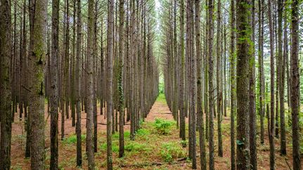 Farm Property for sale in White County, Arkansas