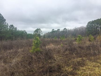 Ranch Property for sale in Garland County, Arkansas