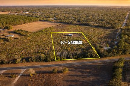 Property for sale in Levy County, Florida