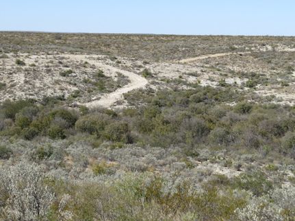 Ranch Property for sale in Terrell County, Texas