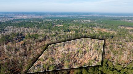 Timberland Property for sale in Tyler County, Texas