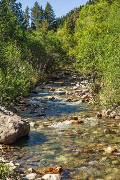 Farm Property for sale in Boise County, Idaho