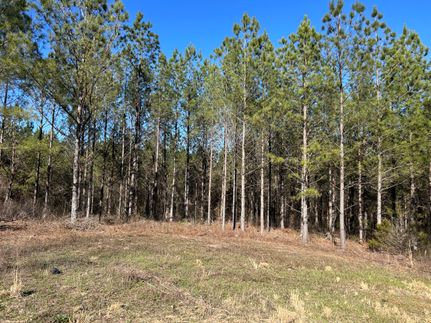 Ranch Property for sale in Chambers County, Alabama