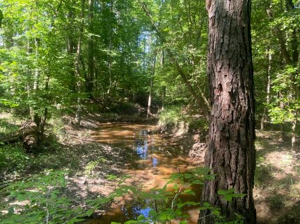 Recreational Property for sale in Columbia County, Arkansas