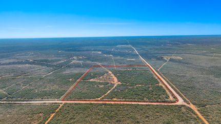 Undeveloped Land for sale in Jim Wells County, Texas
