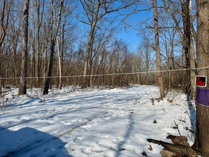 Undeveloped Land for sale in Washington County, Indiana