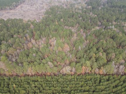 Farm Property for sale in Union County, Arkansas