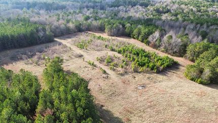 Undeveloped Land for sale in Chambers County, Alabama