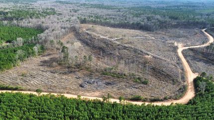 Undeveloped Land for sale in Russell County, Alabama