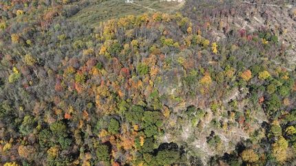 Undeveloped Land for sale in Indiana County, Pennsylvania