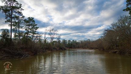 Property for sale in Jasper County, Texas