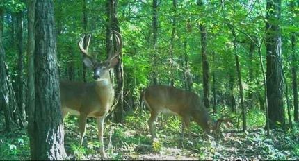 Farm Property for sale in Leflore County, Mississippi