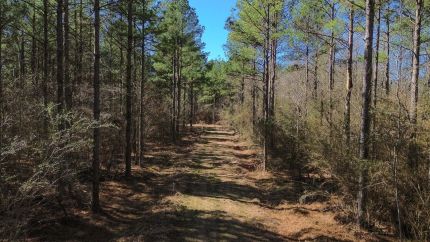 Ranch Property for sale in Lowndes County, Mississippi