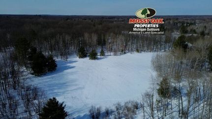 Farm Property for sale in Newaygo County, Michigan