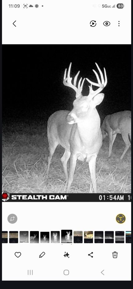 Timberland Property for sale in Macon County, Missouri