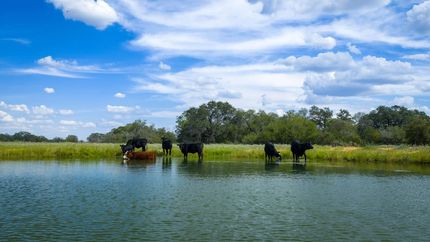 Farm Property for sale in Medina County, Texas