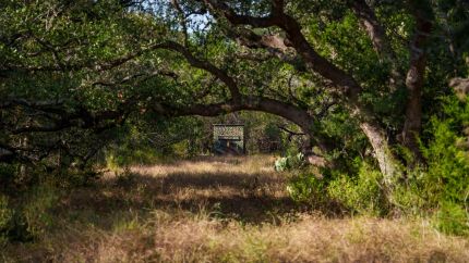 Hunting Land for sale in Comal County, Texas