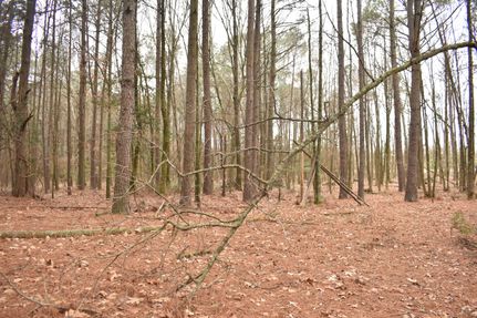 Timberland Property for sale in Pike County, Arkansas