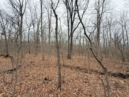 Undeveloped Land for sale in Morgan County, Missouri