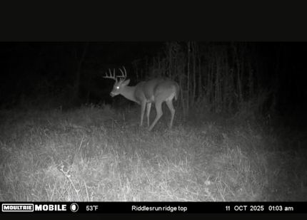 Farm Property in Boone County, Kentucky