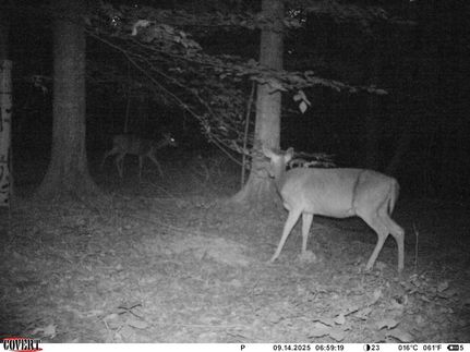 Farm Property in Wayne County, Kentucky