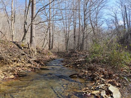 Undeveloped Land for sale in Pickens County, Georgia