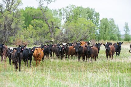 Waterfront Property for sale in Moffat County, Colorado