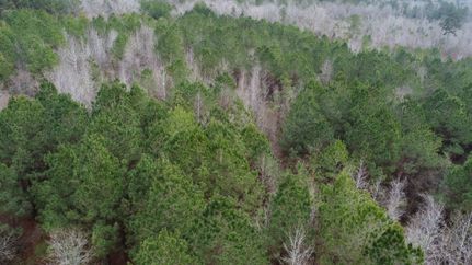 Residential Property for sale in Simpson County, Mississippi